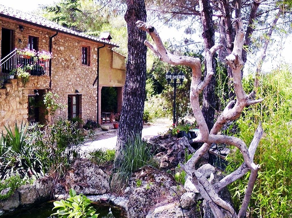 Agriturismo Il Poderino Bibbona Exterior photo