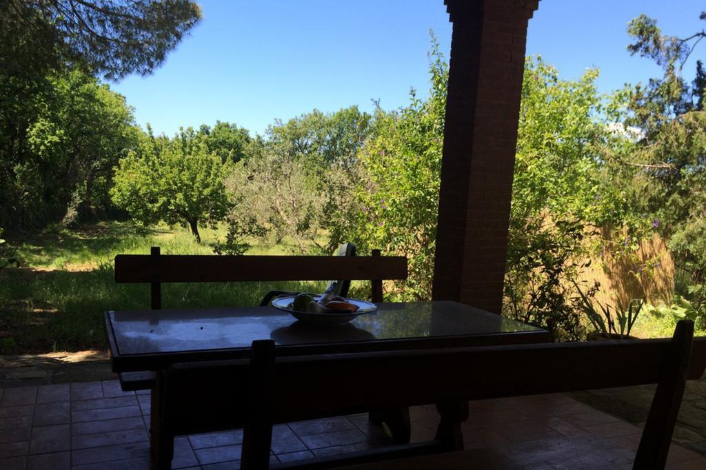 Agriturismo Il Poderino Bibbona Room photo