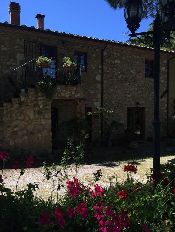 Agriturismo Il Poderino Bibbona Room photo